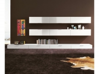 Дневна холова секция